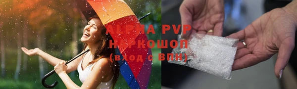 прущие грибы Алзамай