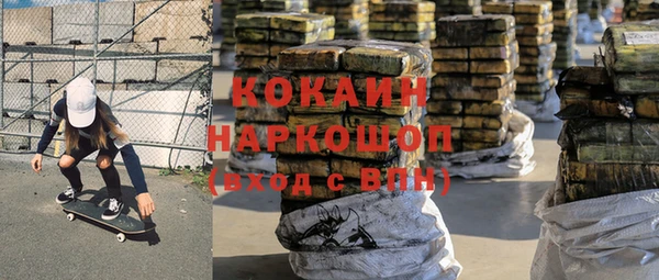 прущие грибы Алзамай
