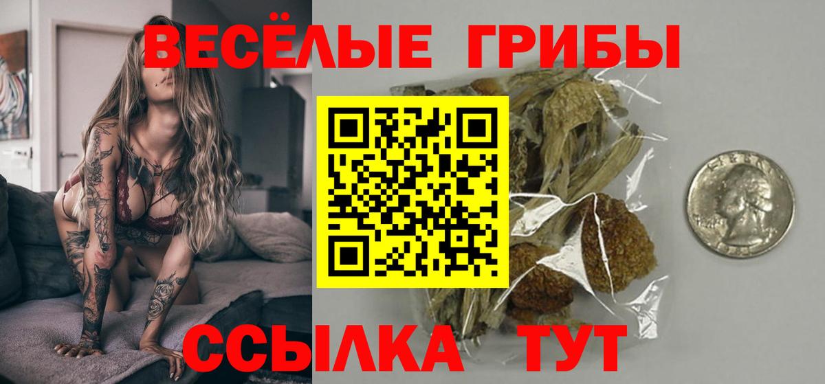 Усть-Лабинск  Галлюциногенные грибы Psilocybine cubensis  Вход с VPN  даркнет сайт  Галлюциногенные грибы Psilocybe 
