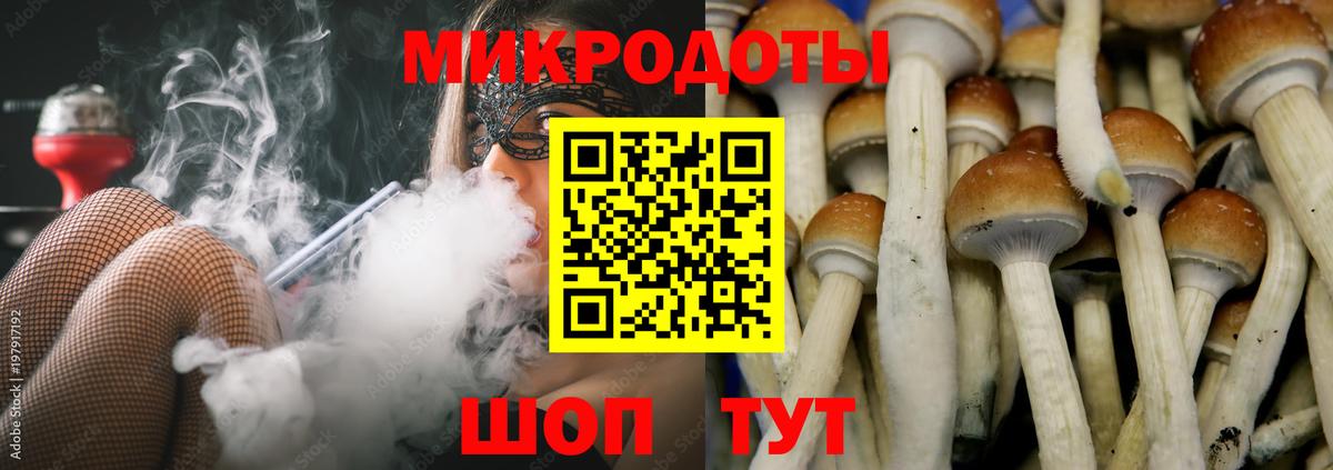 Галлюциногенные грибы Cubensis Усть-Лабинск